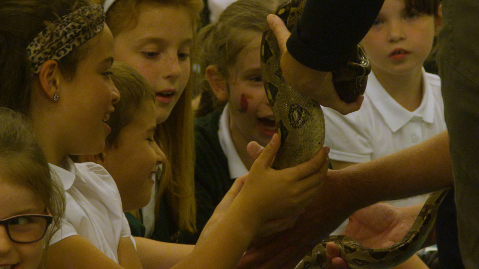 School children holding a snake